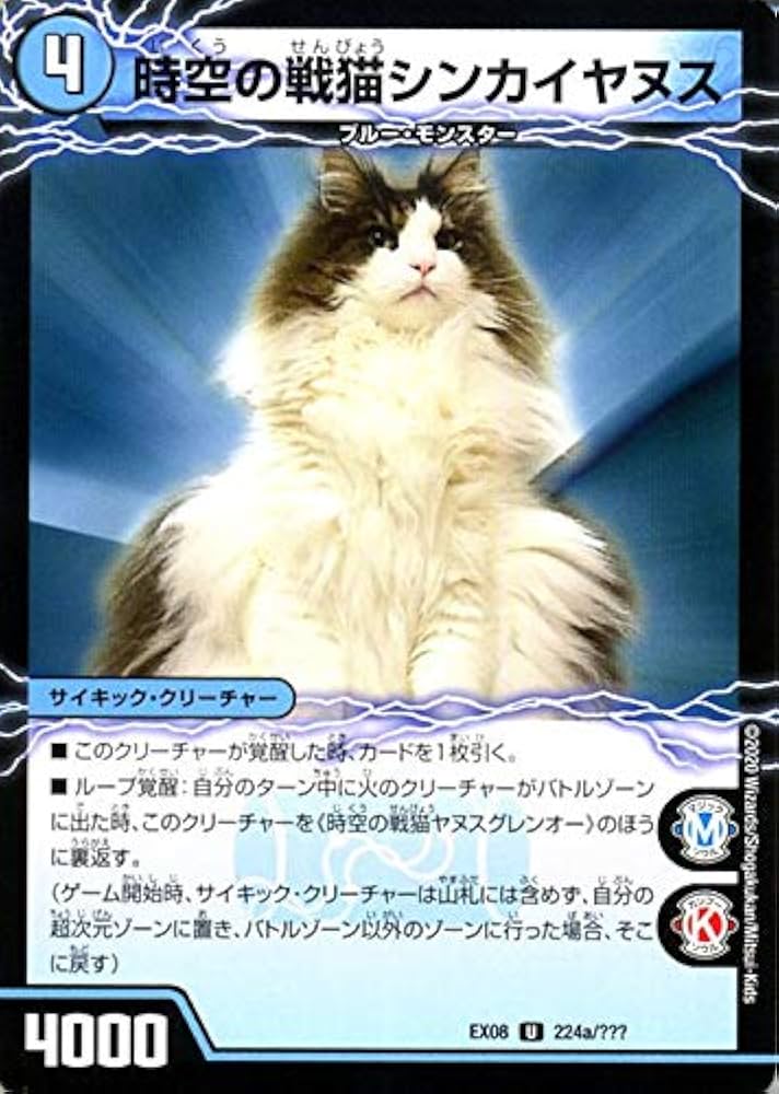 Amazon.co.jp: デュエルマスターズ 時空の戦猫シンカイヤヌス/時空の戦